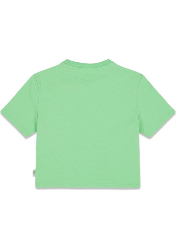 maple valley tee - Apple Mint Sale