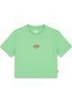 maple valley tee - Apple Mint Sale