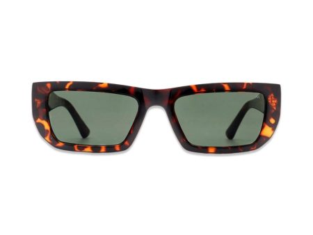 Fame - Demi Tortoise Online now