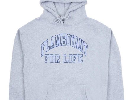 flamboyant hoody - Grey Fashion