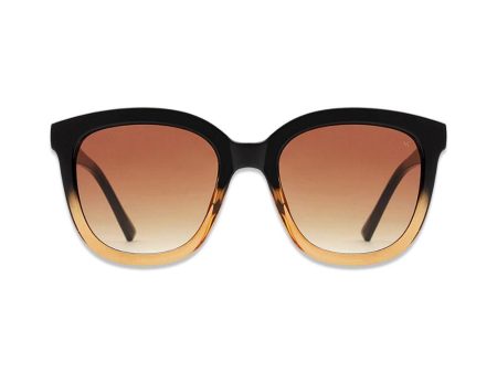 Billy - Black Brown Transparent on Sale